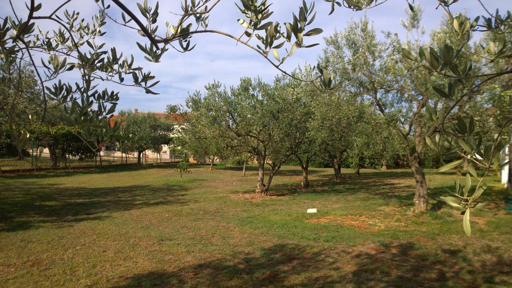 Apartments Free Parking Big Garden Перой Экстерьер фото